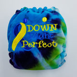 One Size DAY - Down Right Perfect - EMB - Hand Dyed CV - Windpro - Hybrid Fitted - $48