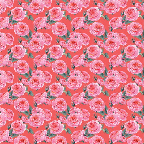 Layaway - Pink Roses - $18