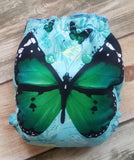 Butterfly Fantasy Emerald - Custom - DAY WITH WINDPRO - Hybrid Fitted